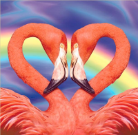 Фотообои I Love You 140*145