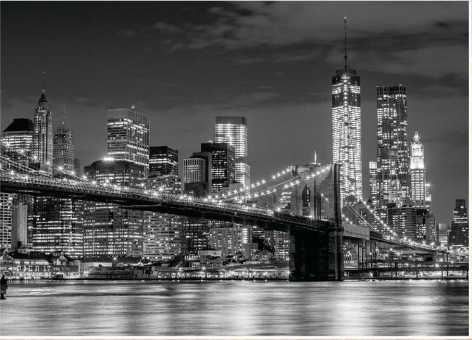 Фотообои Престиж №83 (272*196)