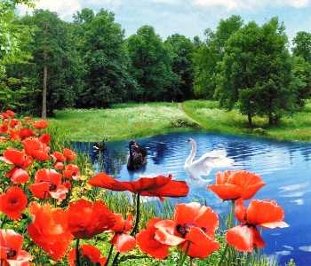 Фотошпалери Літній Блюз 201*242
