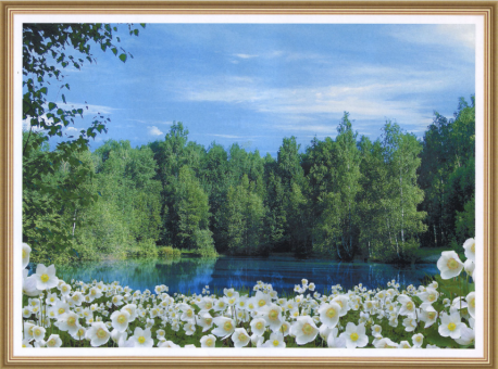 Фотообои Цветочный берег 134*194
