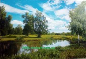 Фотообои 3D Величие природы 196*278